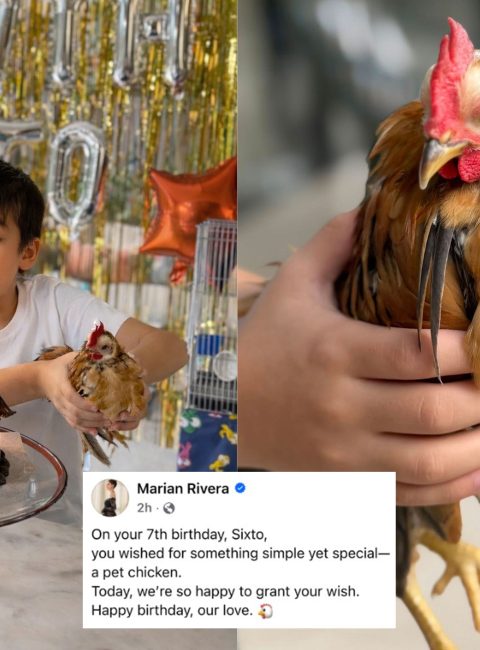 Marian Rivera, Dingdong Dantes Grant Son Sixto’s Wish for Pet Chicken on 7th Birthday