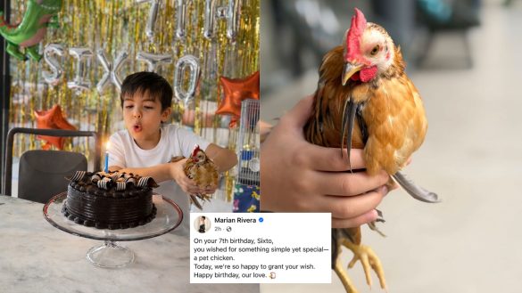 Marian Rivera, Dingdong Dantes Grant Son Sixto’s Wish for Pet Chicken on 7th Birthday