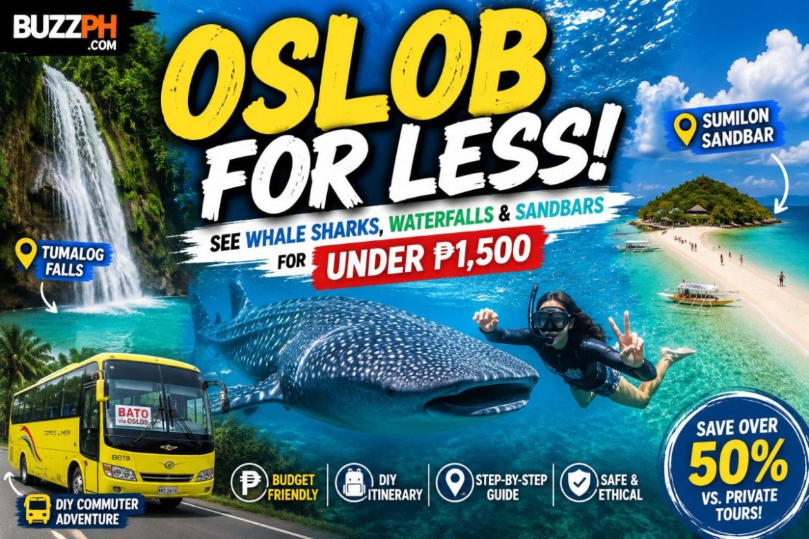 Tourist swimming beside a whale shark in Oslob, Cebu, with views of Tumalog Falls and Sumilon Island during a budget DIY travel adventure.