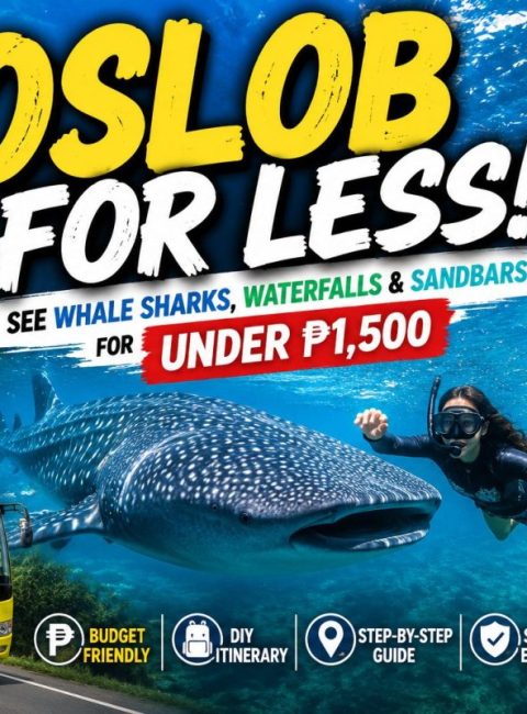 The Ultimate Budget Oslob Travel Guide: How to See Whale Sharks for Cheap