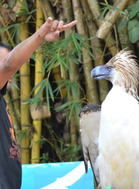 Places To Visit: Where To Go When You Are In Davao City