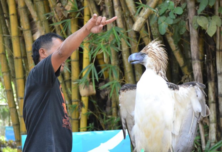Places To Visit: Where To Go When You Are In Davao City