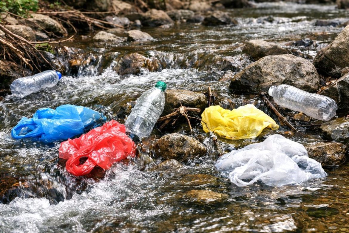 Discarded plastic bags and bottles scattered along a riverbank, showing the growing effects of Plastic Pollution on the environment.