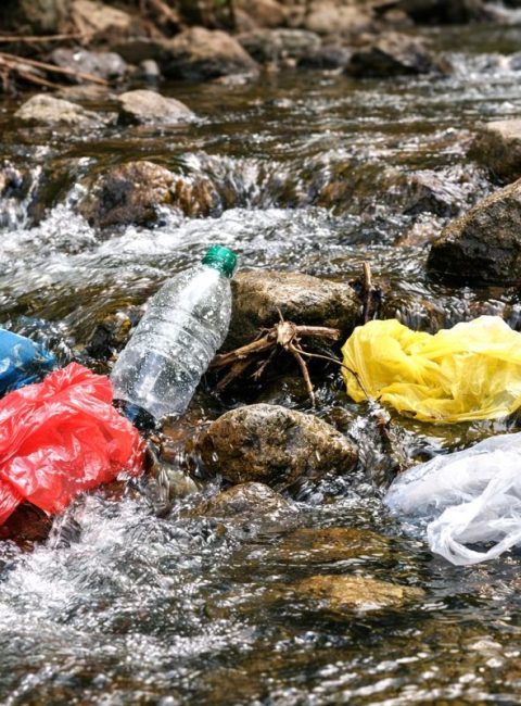 Polluting The World With Plastics