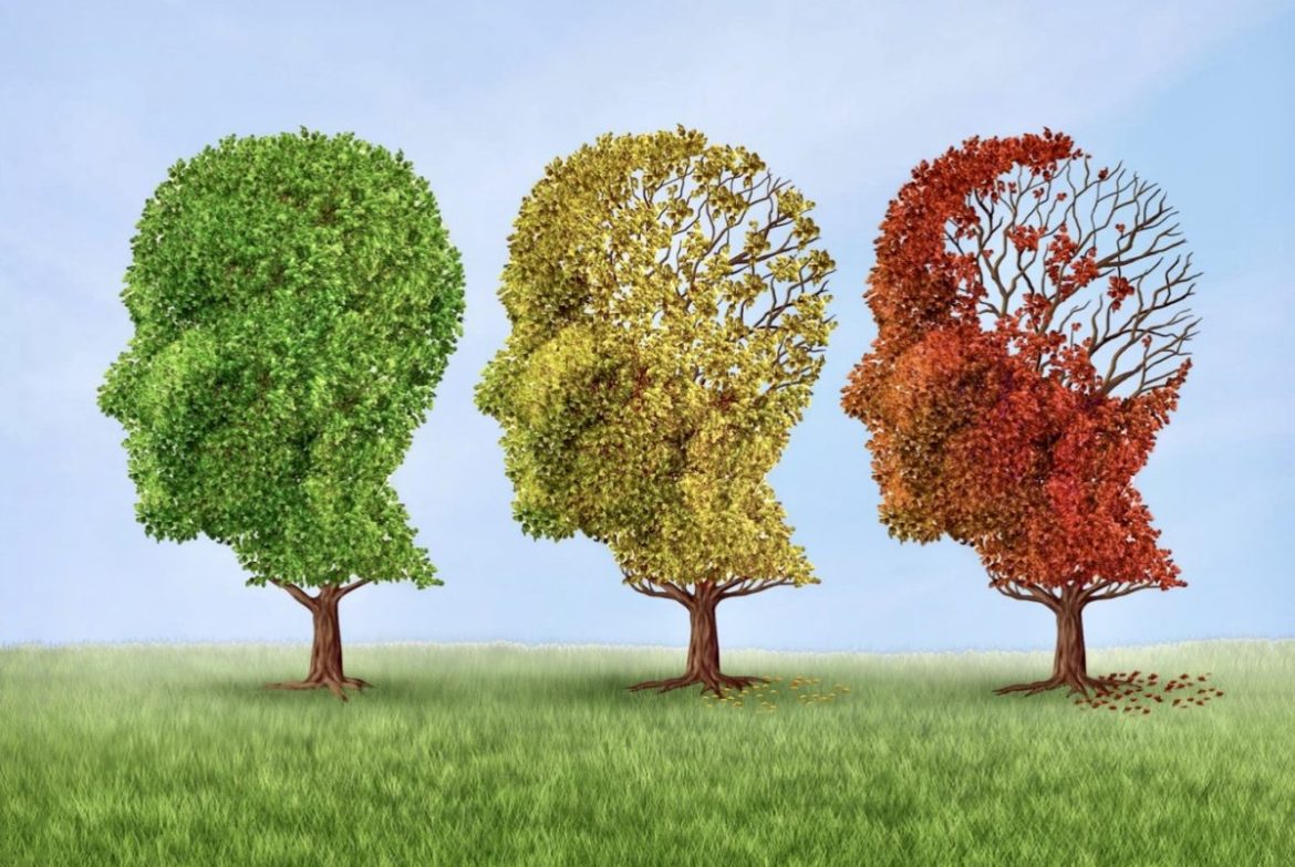 Infographic explaining the difference between Alzheimer's disease and dementia and the early signs of dementia.