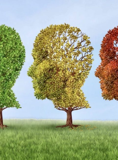 Dementia: Understanding Why Total Recall Is Impossible