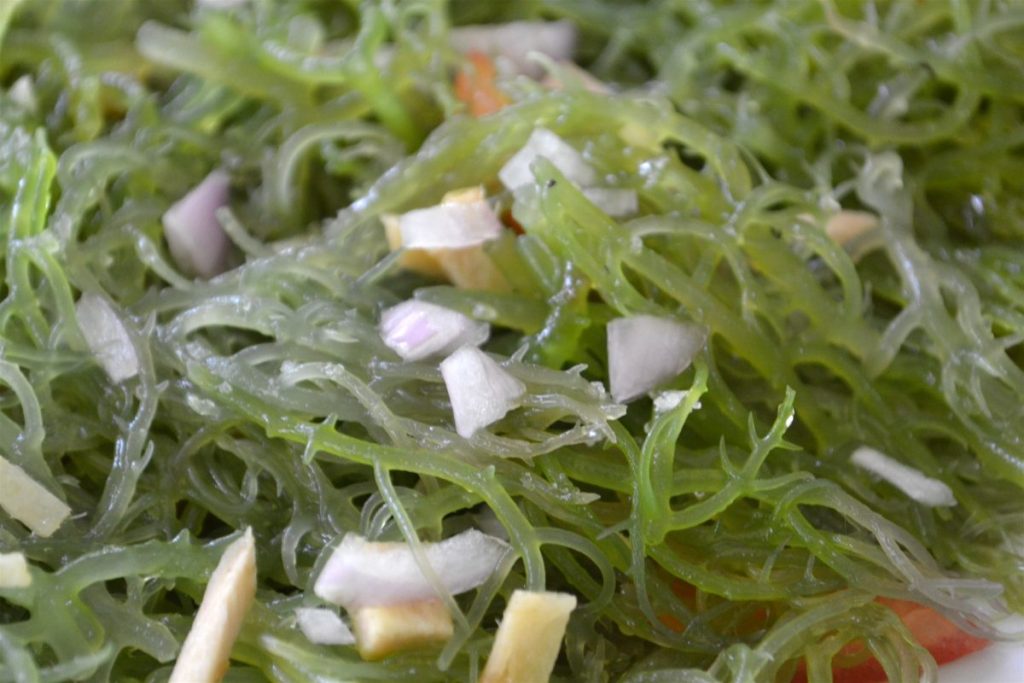 Fresh edible seaweed salad prepared as a nutritious dish, highlighting the seaweed benefits Philippines.