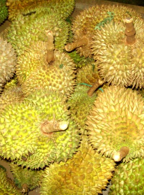 Durian: It’s Time for That Contentious Fruit Again!
