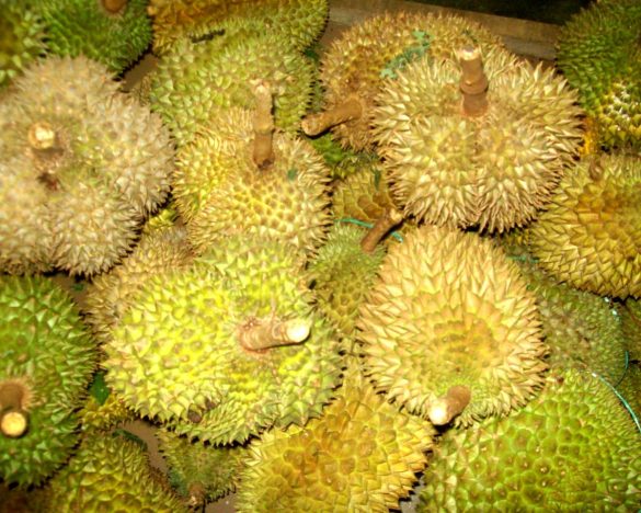 Durian: It’s Time for That Contentious Fruit Again!