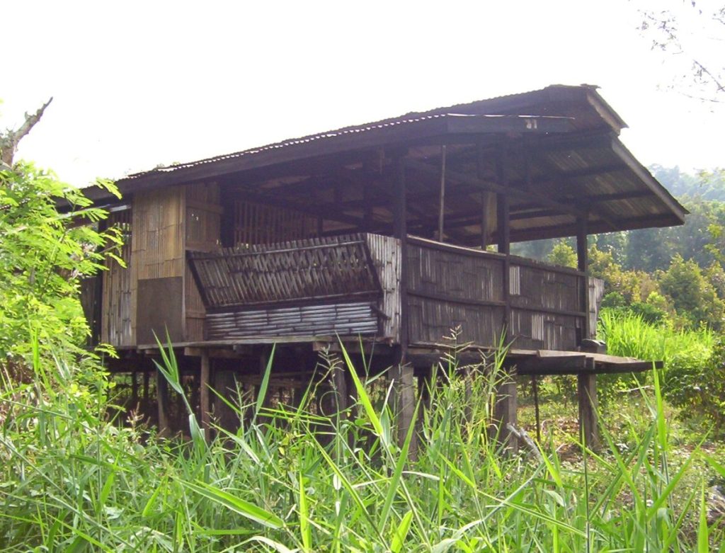 Goat house made of bamboo showing the bamboo potential for affordable livestock shelters.