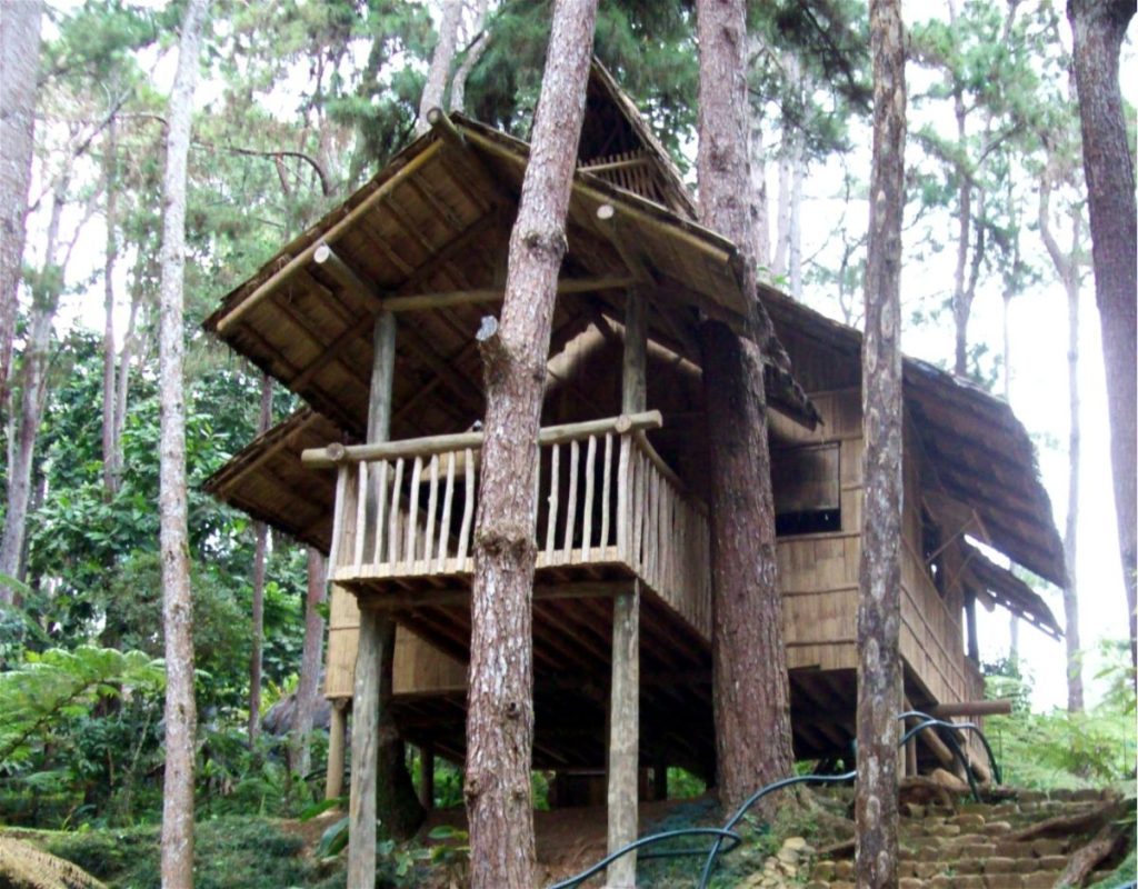 Traditional bamboo house showcasing the bamboo potential as a sustainable building material.