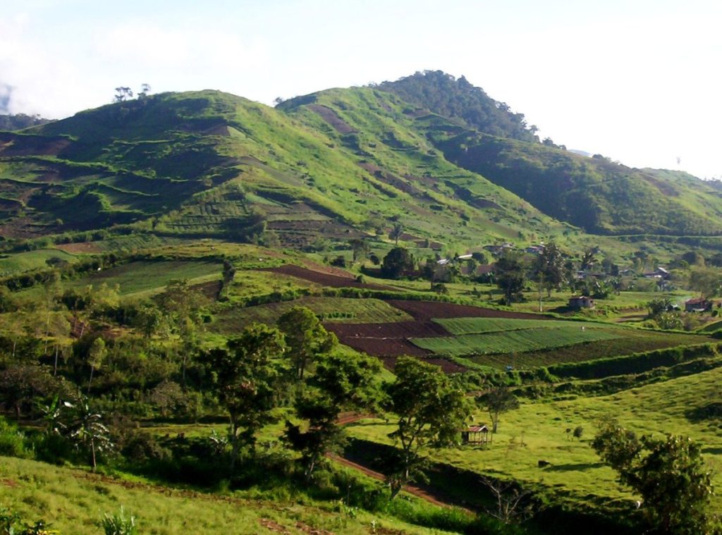Green farming lands in a mountainous area of the Philippines vulnerable to soil erosion and land degradation.