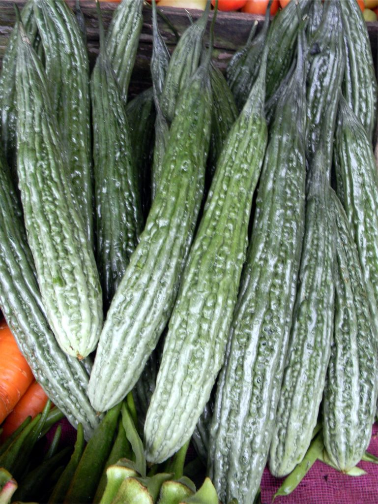 Fresh ampalaya (bitter melon), one of the most widely used herbal medicines in the Philippines.