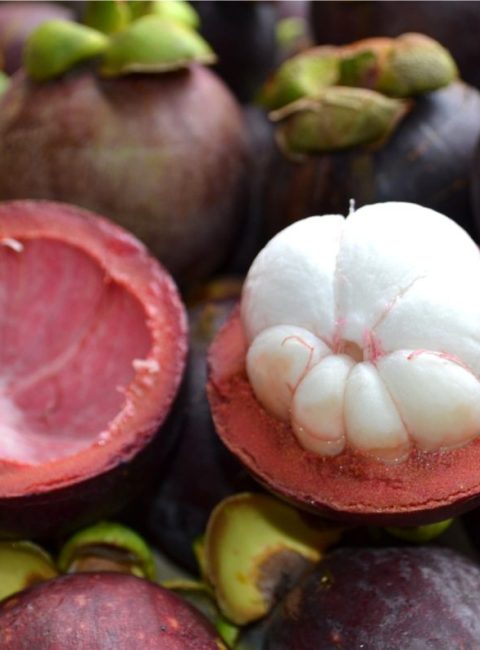 Mangosteen Can Now Be Harvested Throughout The Year