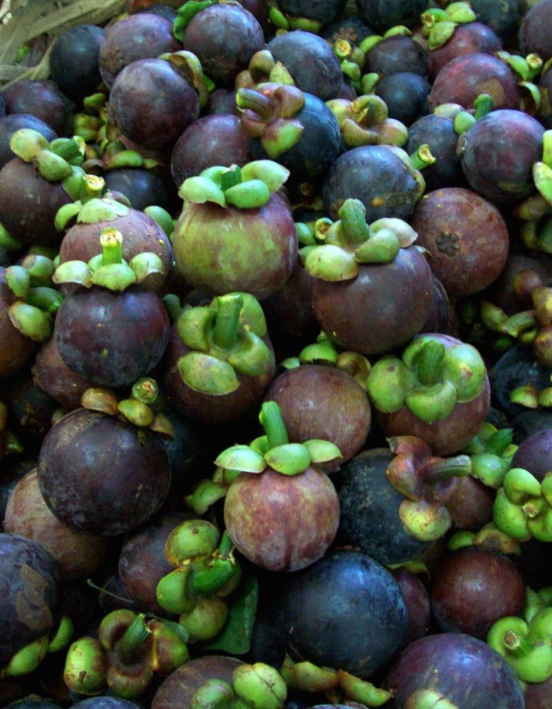 Fresh mangosteen fruits displayed for sale, highlighting the benefits of off-season mangosteen harvest technology in the Philippines.
